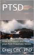 Post Traumatic Stress Disorder (PTSD) Book Link